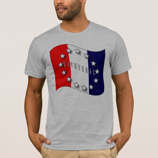 アメリカの捧げ物V2 Tシャツ (正面)