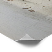 アメリカの政治 ポスター (角)