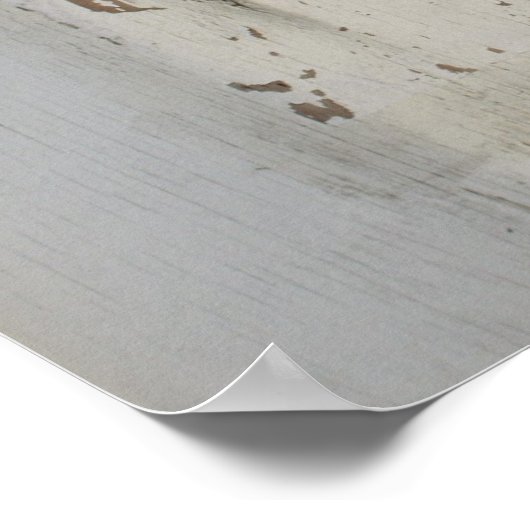 アメリカの政治 ポスター (角)