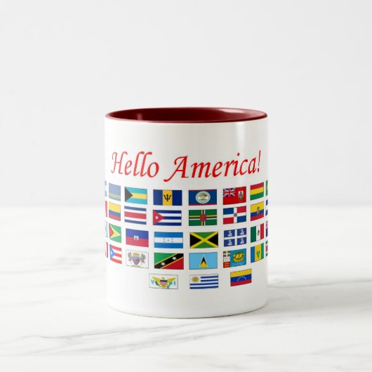 アメリカの旗 ツートーンマグカップ (中央)