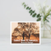 アメリカの木、季節の変化、統一された州。 ポストカード (スタンド正面)