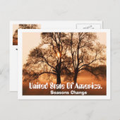 アメリカの木、季節の変化、統一された州。 ポストカード (正面/裏面)