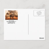 アメリカの木、季節の変化、統一された州。 ポストカード (裏面)