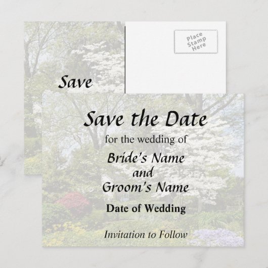 アメリカの桜 案内ポストカード (正面/裏面)