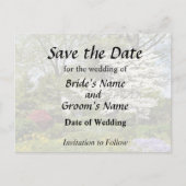 アメリカの桜 案内ポストカード (正面)