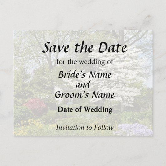 アメリカの桜 案内ポストカード (正面)