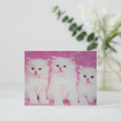 アメリカの次のトゥップモデル ポストカード (スタンド正面)