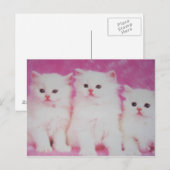 アメリカの次のトゥップモデル ポストカード (正面/裏面)