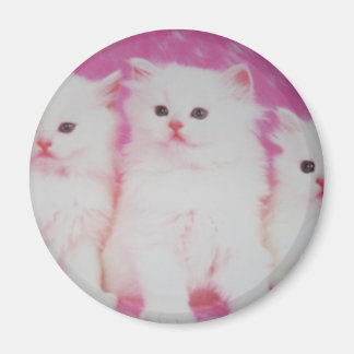 アメリカの次のトップモデル マグネット