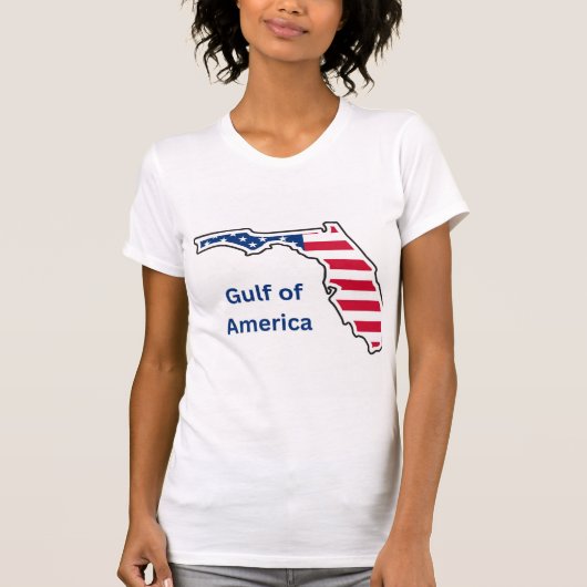 アメリカの湾岸地方 レディースTシャツ Tシャツ (正面)