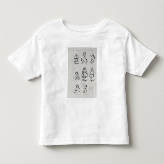 アメリカの物語および重大な歴史 トドラーTシャツ (正面)