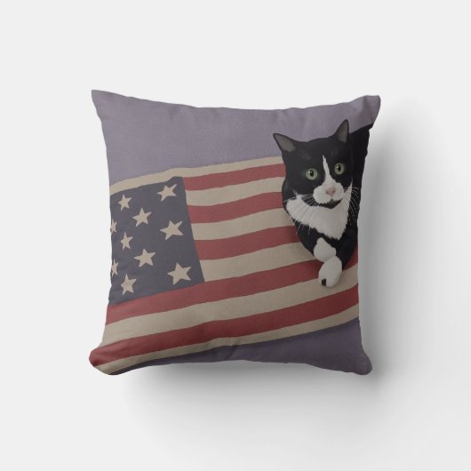 アメリカの猫 クッション (正面)