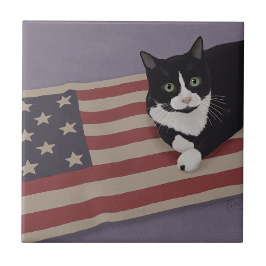 アメリカの猫 タイル (正面)