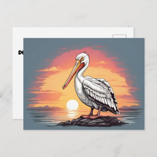 アメリカの白いペリカンの夕日 ポストカード (正面/裏面)