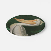 アメリカの白いペリカンの鳥アウドゥボン ペーパープレート (アングル)