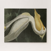 アメリカの白いペリカン、オードボンの鳥たち ジグソーパズル (横)