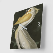 アメリカの白いペリカン、オードボンの鳥たち スクエア壁時計 (傾斜)