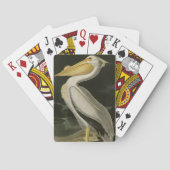 アメリカの白いペリカン、オードボンの鳥たち トランプ (裏面)