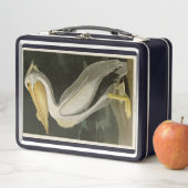 アメリカの白いペリカン、オードボンの鳥たち メタルランチボックス (インサイチュ)