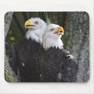 アメリカの白頭鷲のマウスパッド マウスパッド