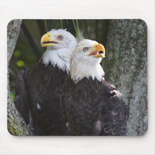 アメリカの白頭鷲のマウスパッド マウスパッド (正面)