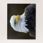 アメリカの白頭鷲 ジグソーパズル (縦)