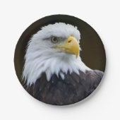 アメリカの白頭鷲 ペーパープレート (正面)