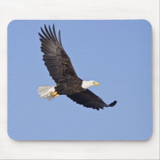 アメリカの白頭鷲 マウスパッド