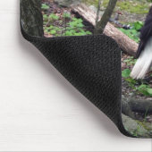 アメリカの白頭鷲 マウスパッド (コーナー)