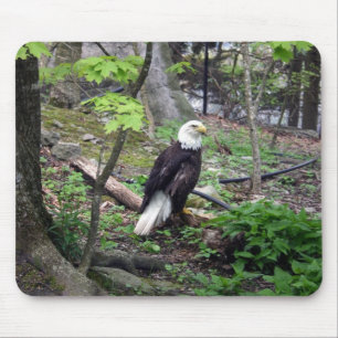 アメリカの白頭鷲 マウスパッド