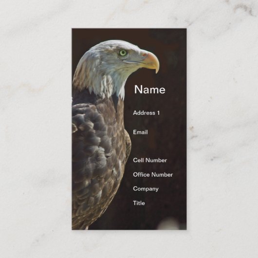 アメリカの白頭鷲 名刺 (正面)