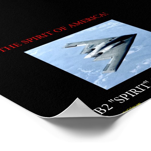 アメリカの精神 ポスター (角)