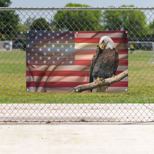 アメリカの精神 横断幕 (インサイチュ)