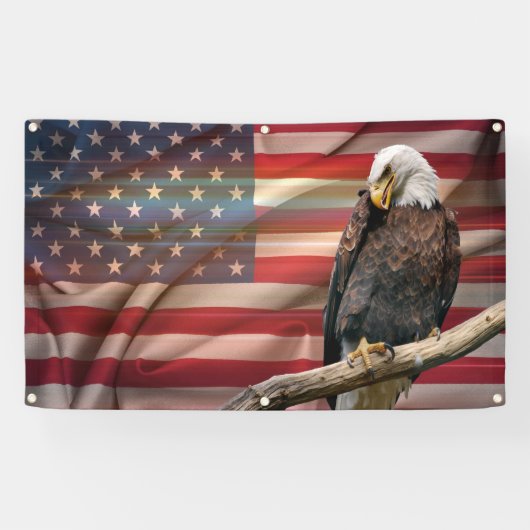 アメリカの精神 横断幕 (横)