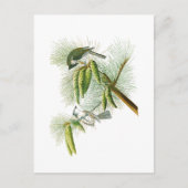 アメリカの紋付きタイトマウスジョンジェームズ・オードボンバード ポストカード (正面)