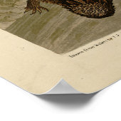 アメリカの素晴らしオードボンバード、ホワイトヘロン、エグレト ポスター (角)