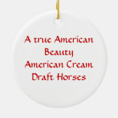 アメリカの美しいのオーナメント セラミックオーナメント (裏面)