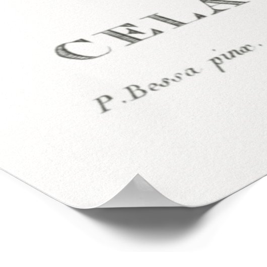 アメリカの苦い甘いセラストラススススカンジーンズの特徴 ポスター (角)