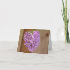 アメリカの藤（フステリア）カード シーズンカード