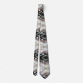 アメリカの遭難船 1841 ネクタイ (裏面)