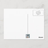 アメリカの金魚の写真 ポストカード (裏面)