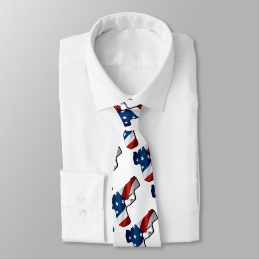 アメリカの銃のネックタイ ネクタイ (タイ)