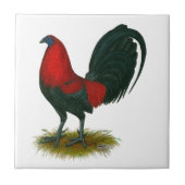 アメリカの闘鶏:  ブラウンの赤 タイル (正面)