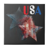 アメリカの陶器タイル タイル (正面)
