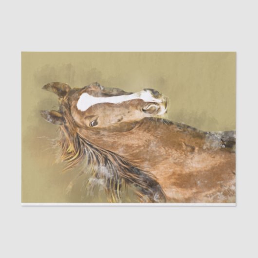 アメリカの鞍馬の水の色のデコップページ 薄葉紙 (正面)