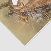 アメリカの鞍馬の水の色のデコップページ 薄葉紙 (詳細)