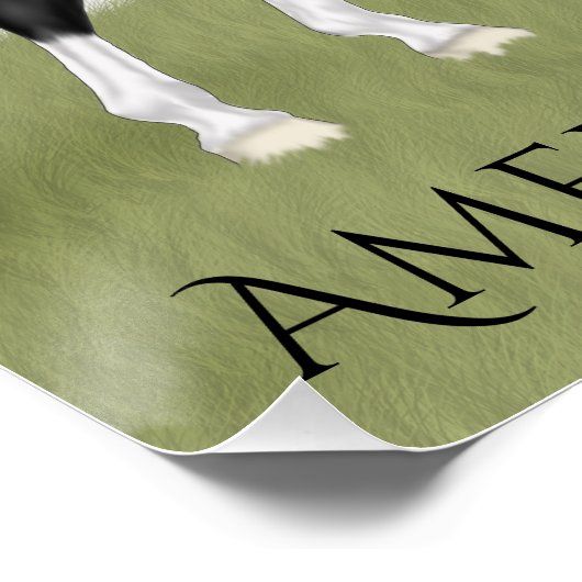 アメリカの鞍馬 ポスター (コーナー)