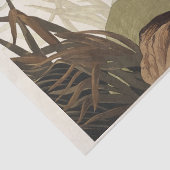 アメリカの鳥から取り除かれたカモ（1827年） 薄葉紙 (詳細)