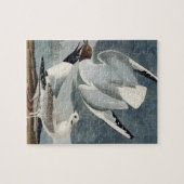 アメリカの鳥から来るカモメ ジグソーパズル (横)