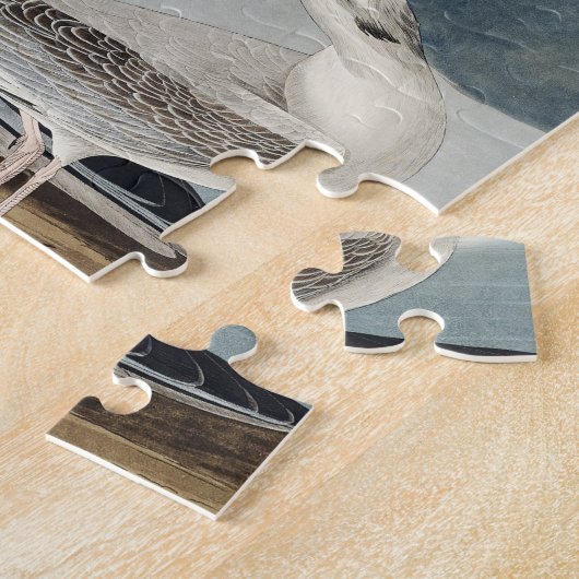 アメリカの鳥から来るカモメ ジグソーパズル (側面)